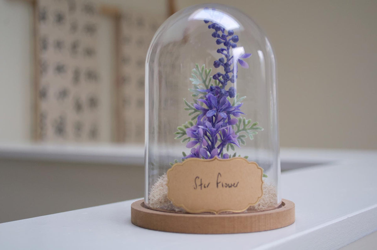 Star Flower Cloche