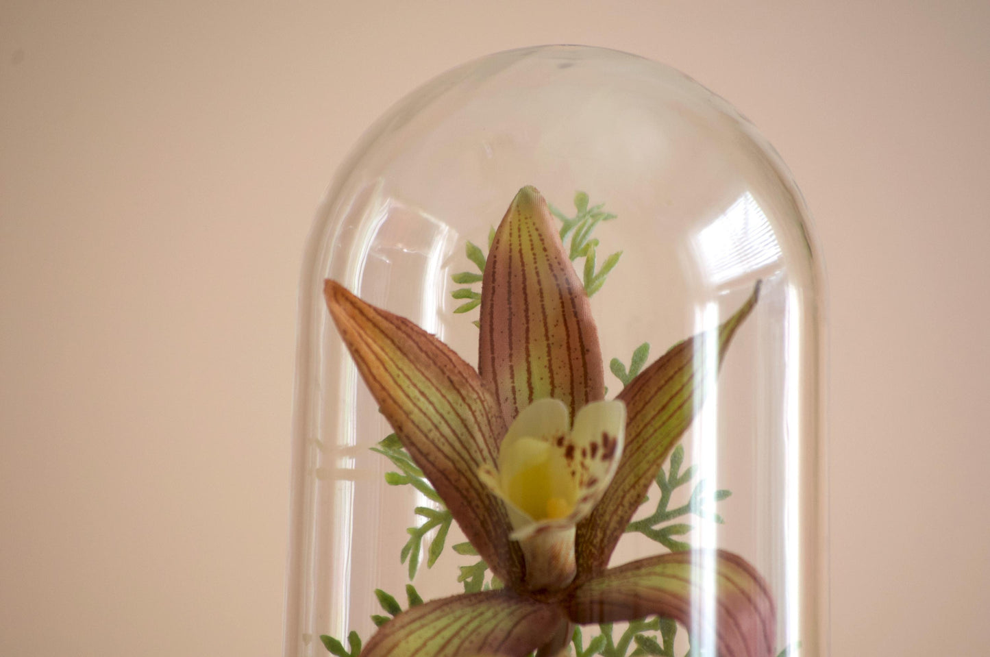 Cymbidium Orchid silk flower arrangement inside of a flower cloche