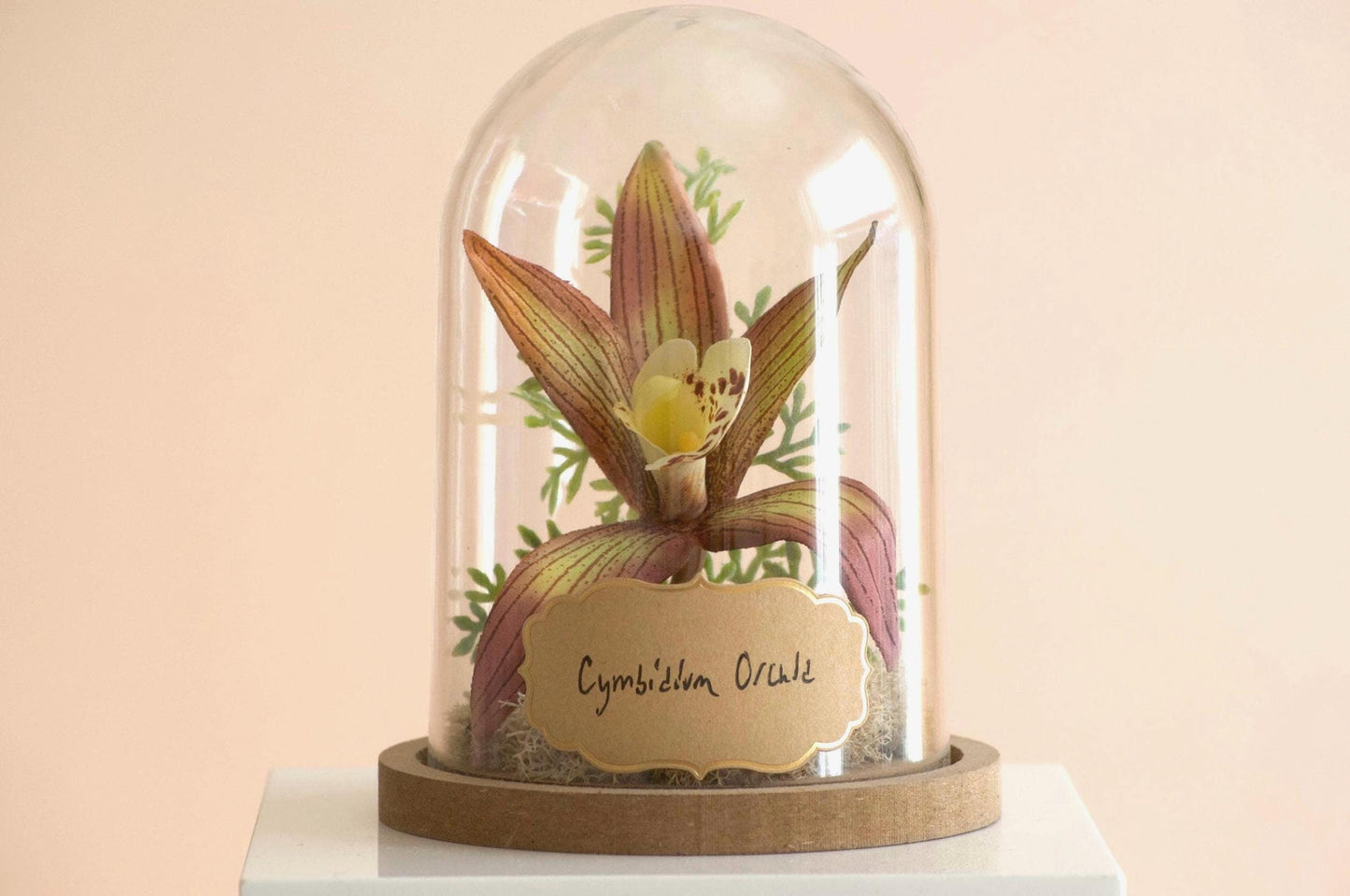 Cymbidium Orchid silk flower arrangement inside of a flower cloche