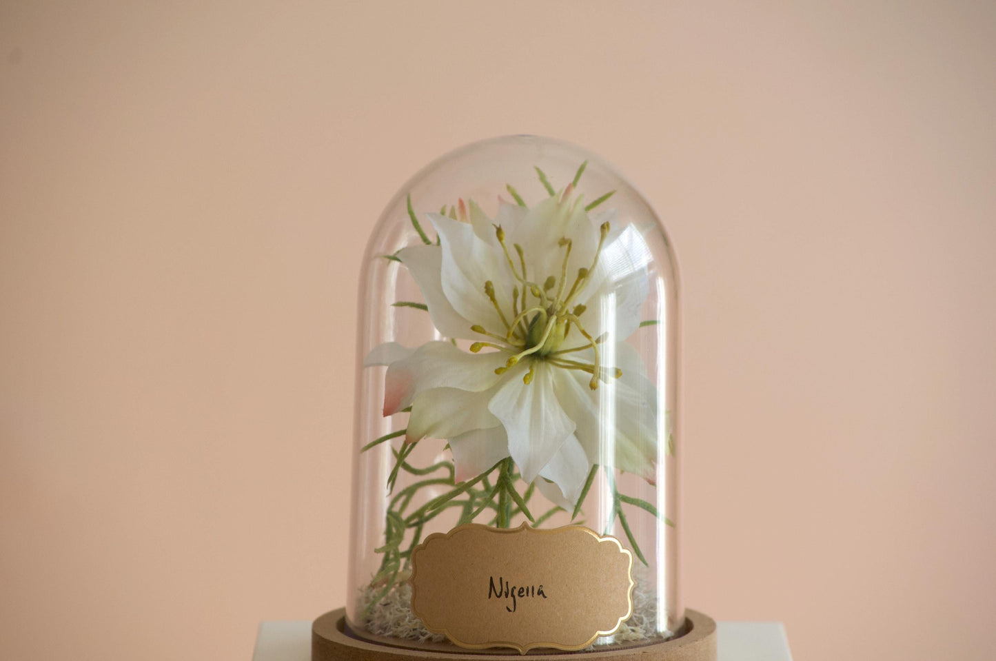 Nigella Flower Cloche-Terrarium