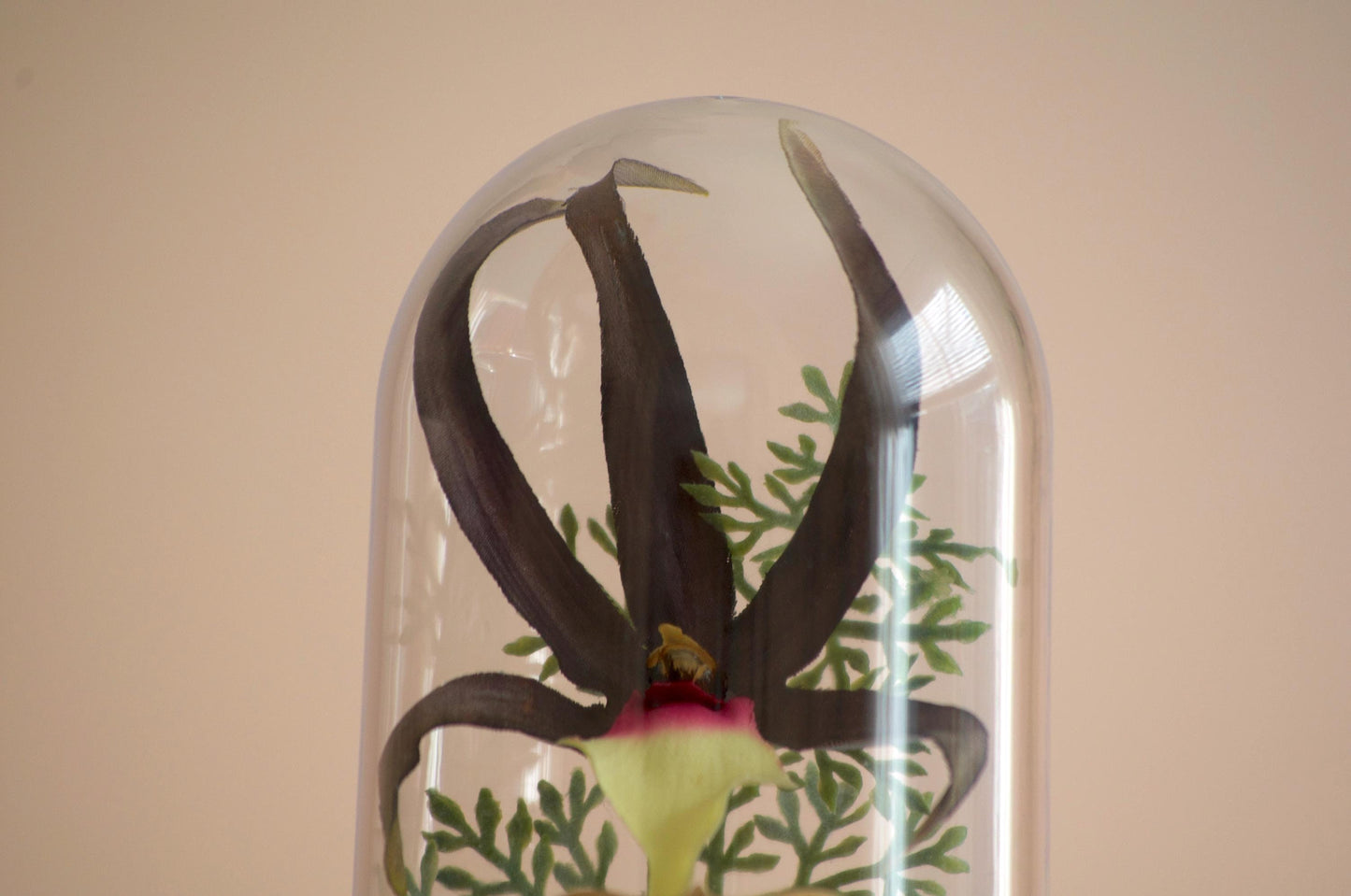 Brassia Keiliana Spider Orchid silk flower arrangement inside of a flower cloche