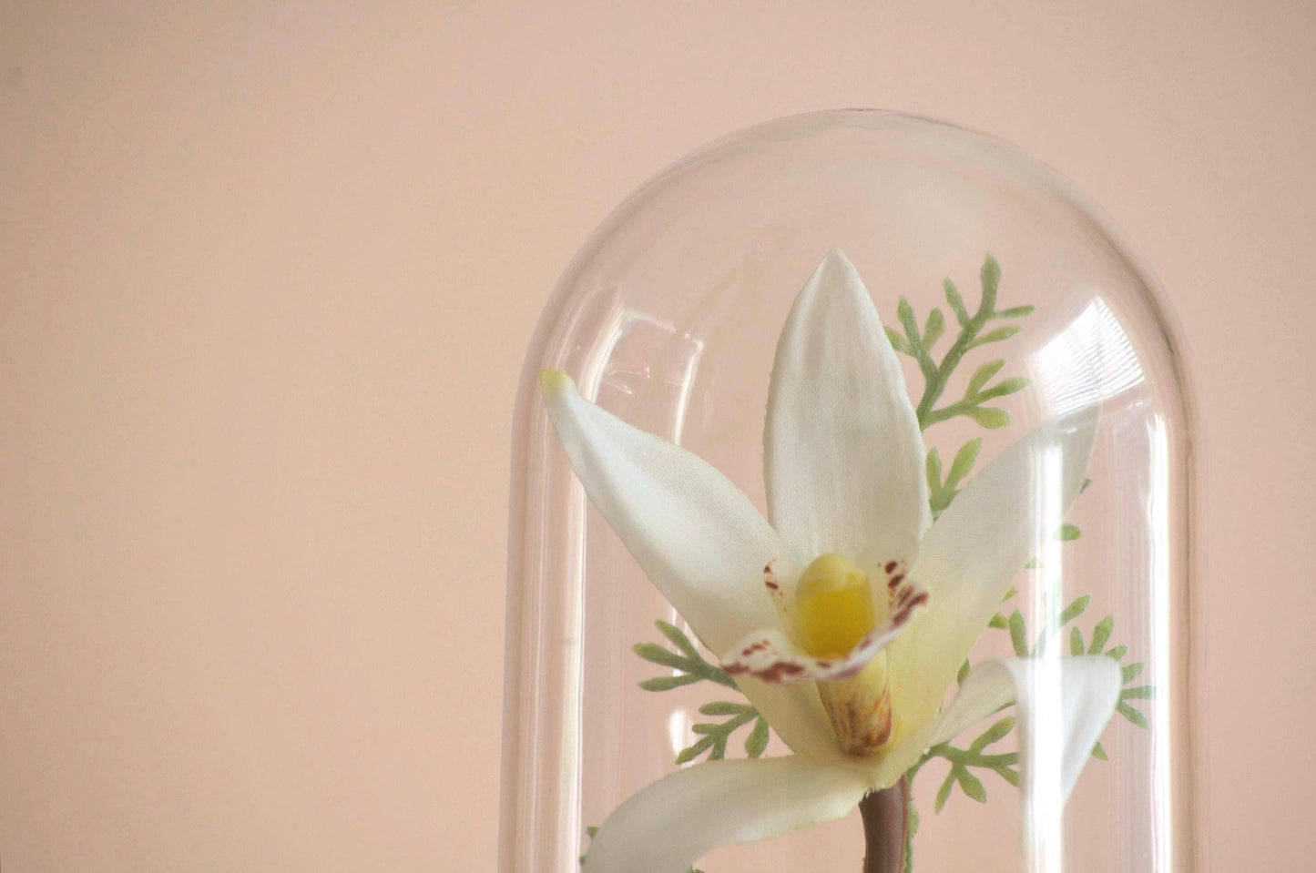 Cymbidium Orchid silk flower arrangement inside of a flower cloche