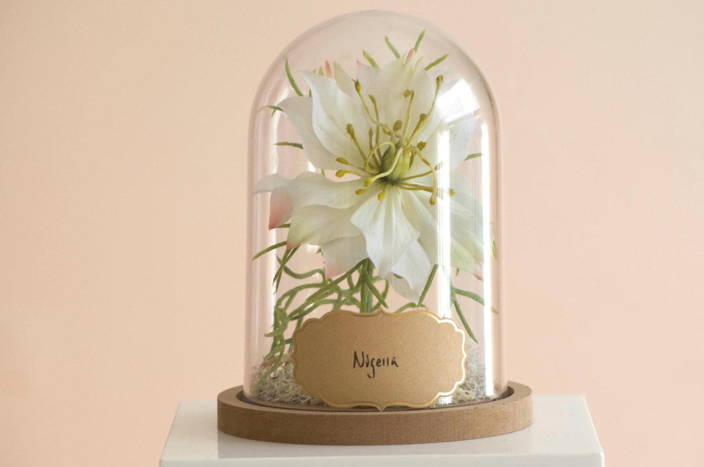 Nigella Flower Cloche-Terrarium