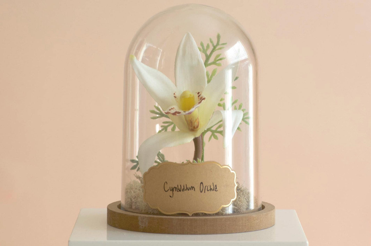 Cymbidium Orchid silk flower arrangement inside of a flower cloche
