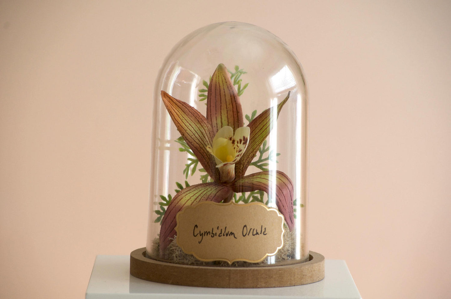 Cymbidium Orchid Flower Cloche