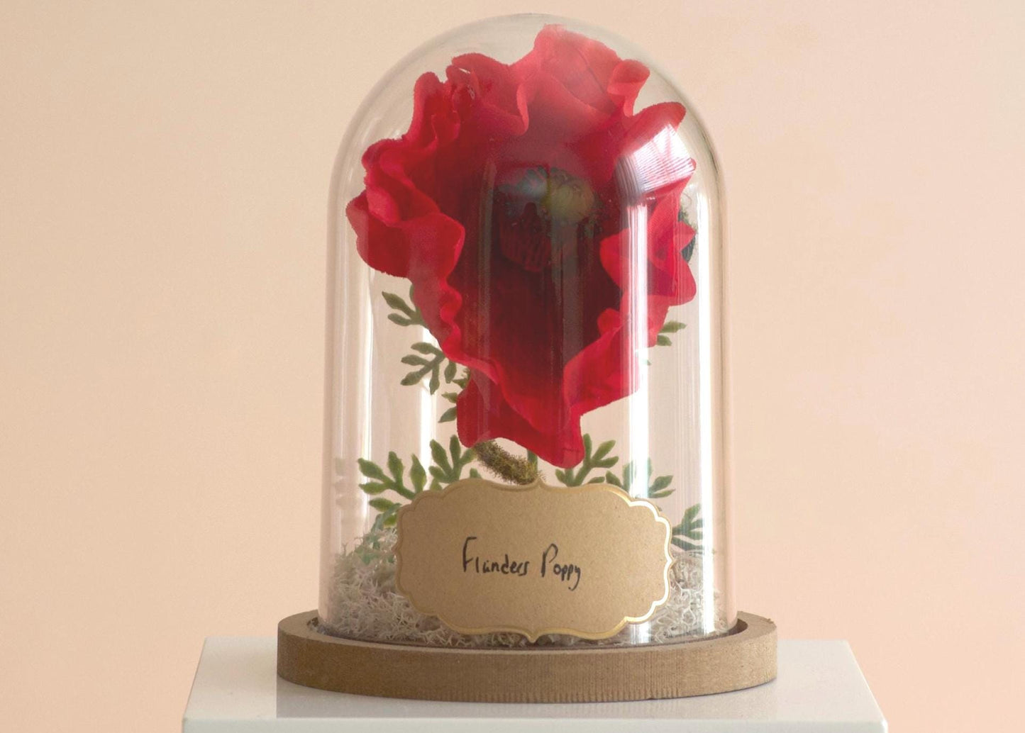Flanders Poppy silk flower arrangement inside of a flower cloche