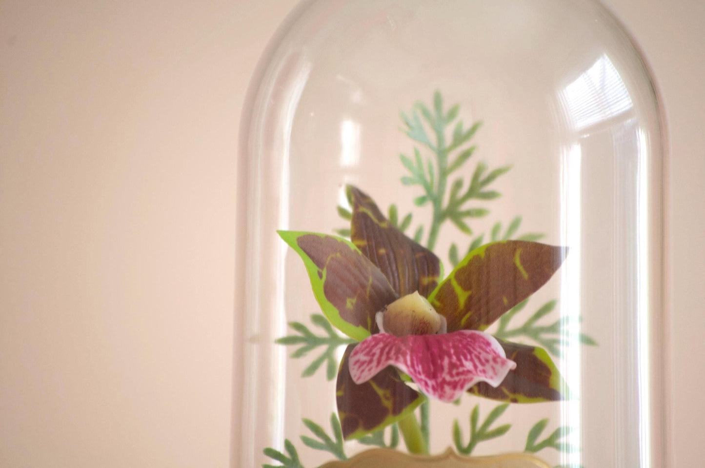 Cattleya "Lady's Slipper" Orchid silk flower arrangement inside of a flower cloche