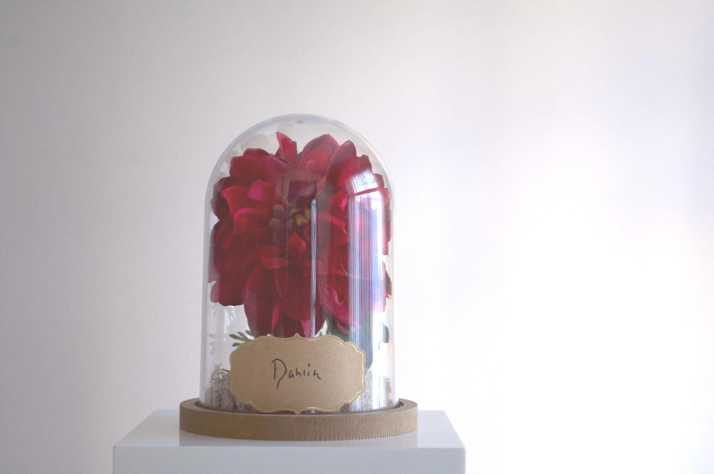 Dahlia silk flower arrangement inside of a flower cloche