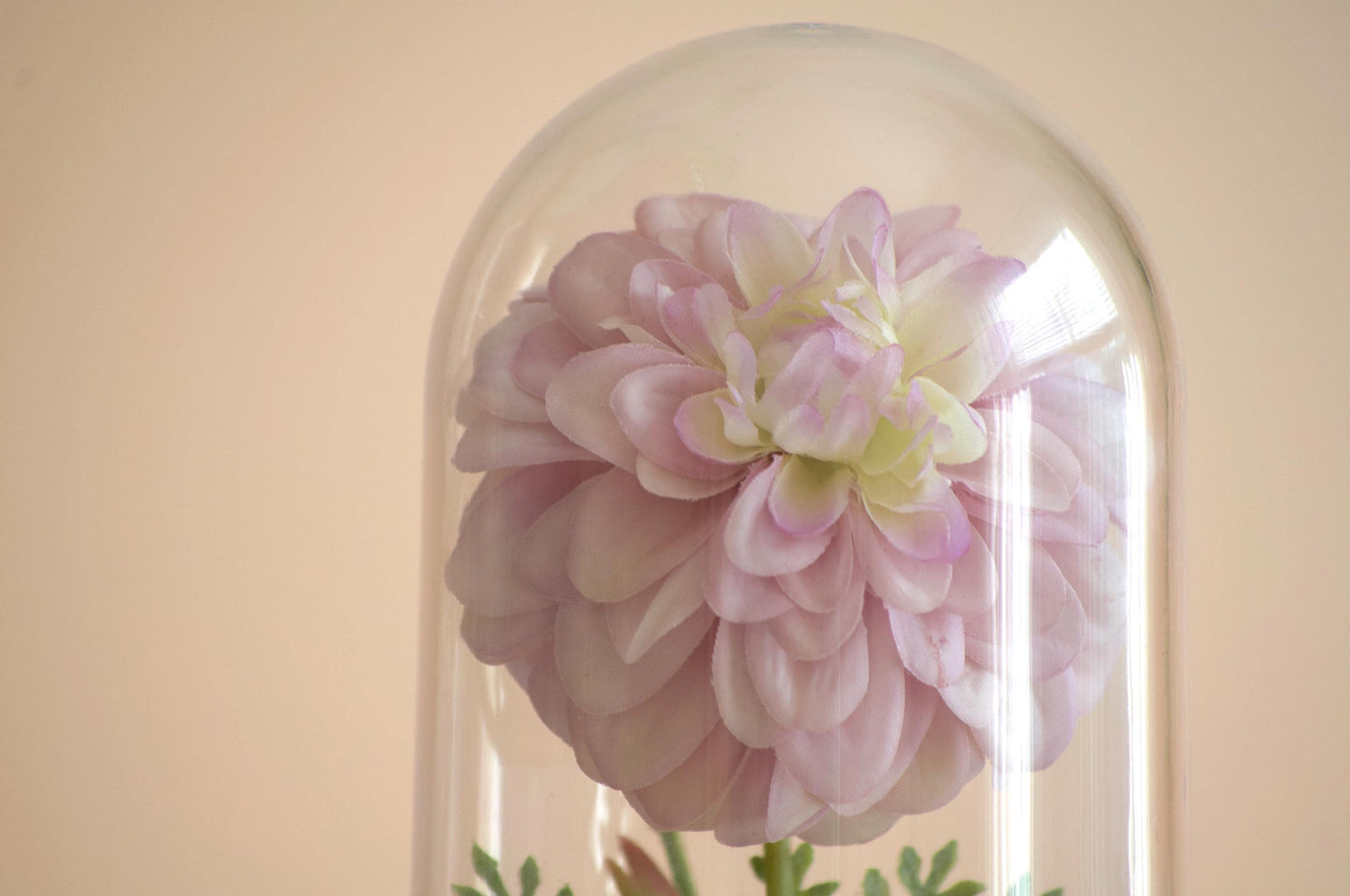 Dahlia Flower Cloche