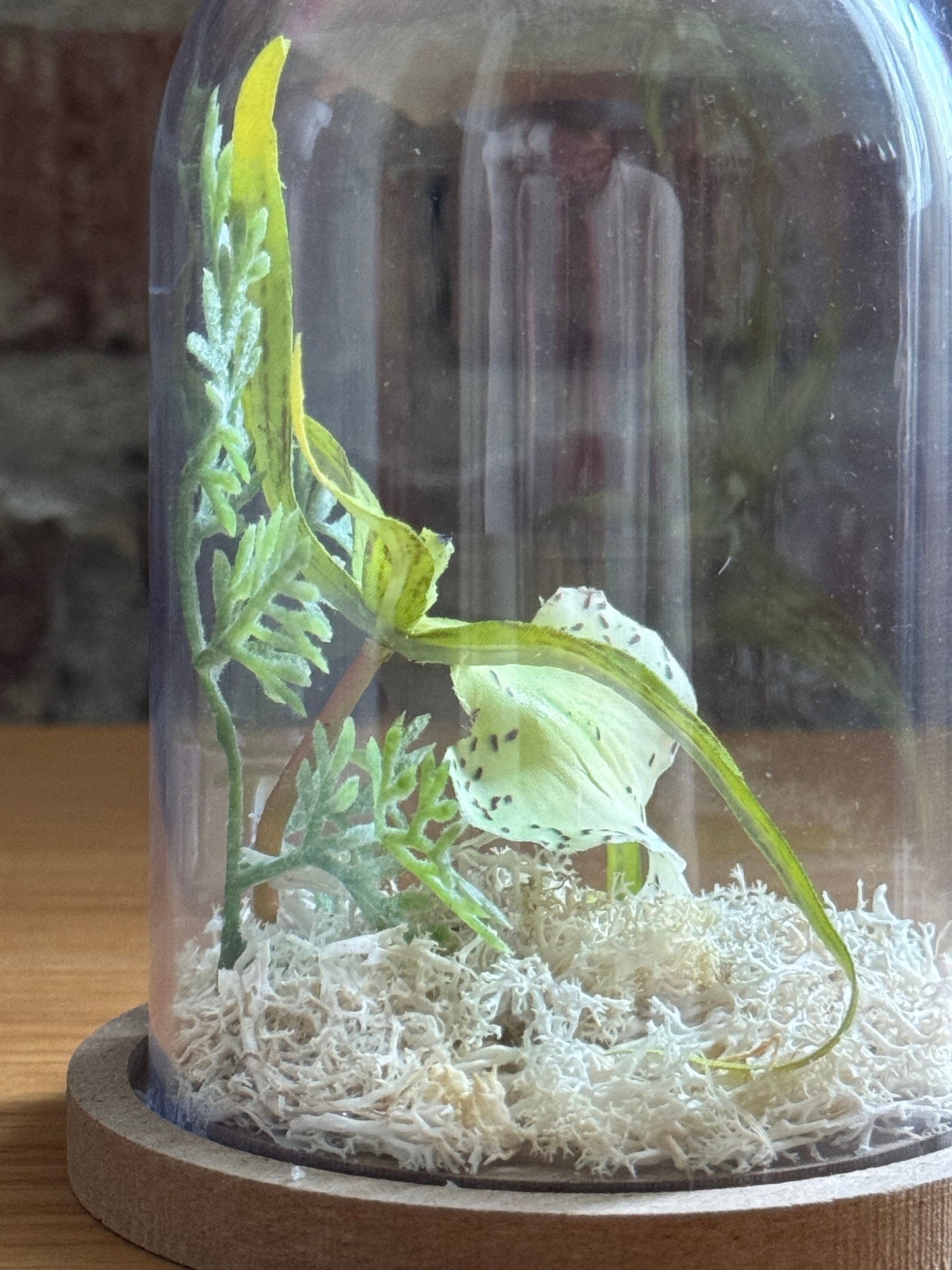 Brassia Verrucosa Spider Orchid silk flower arrangement inside of a flower cloche