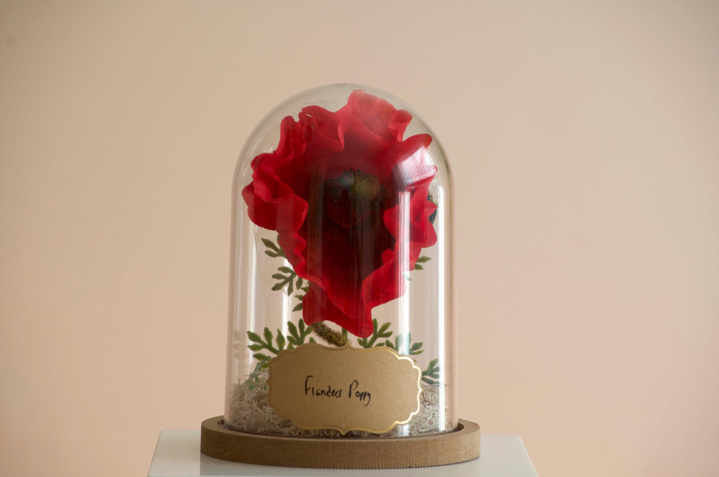 Flanders Poppy silk flower arrangement inside of a flower cloche