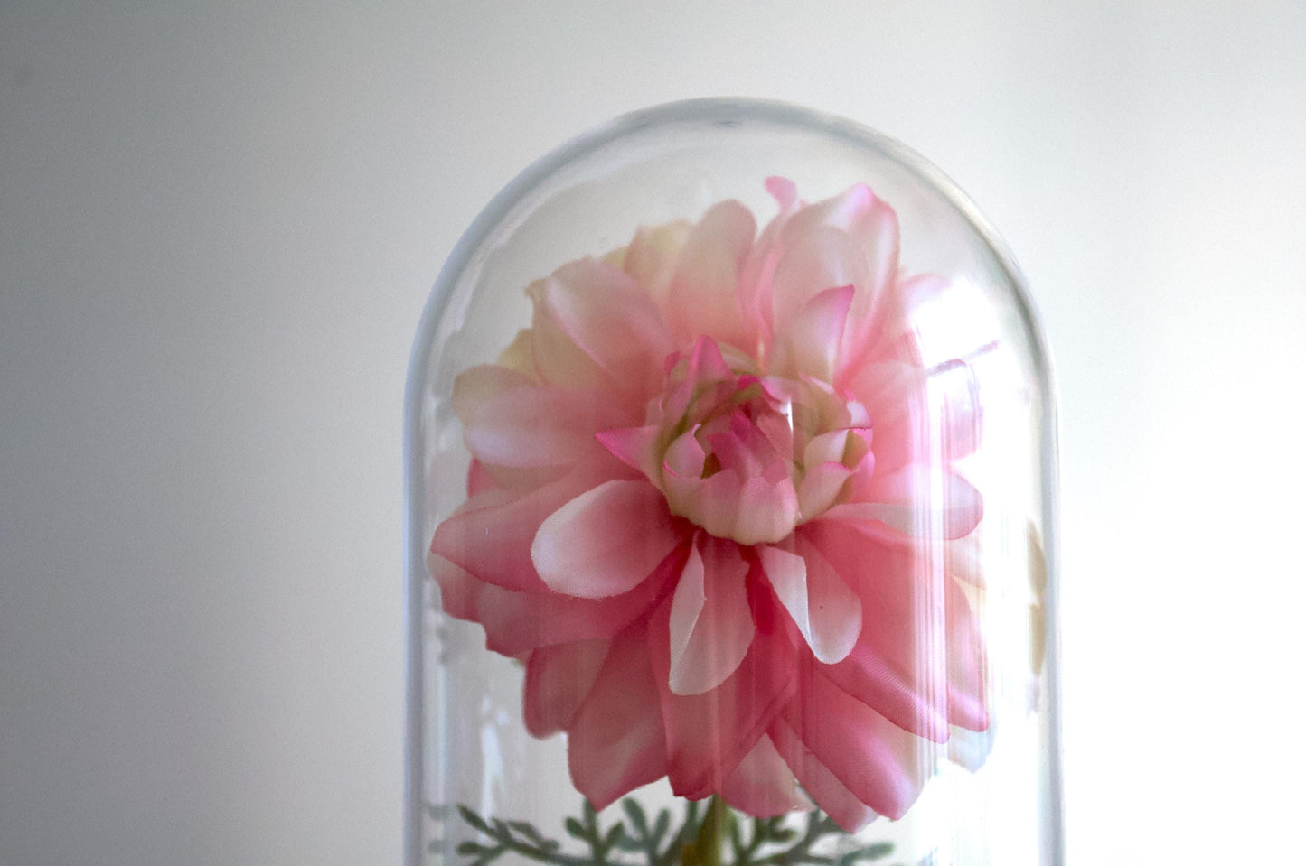 Dahlia silk flower arrangement inside of a flower cloche