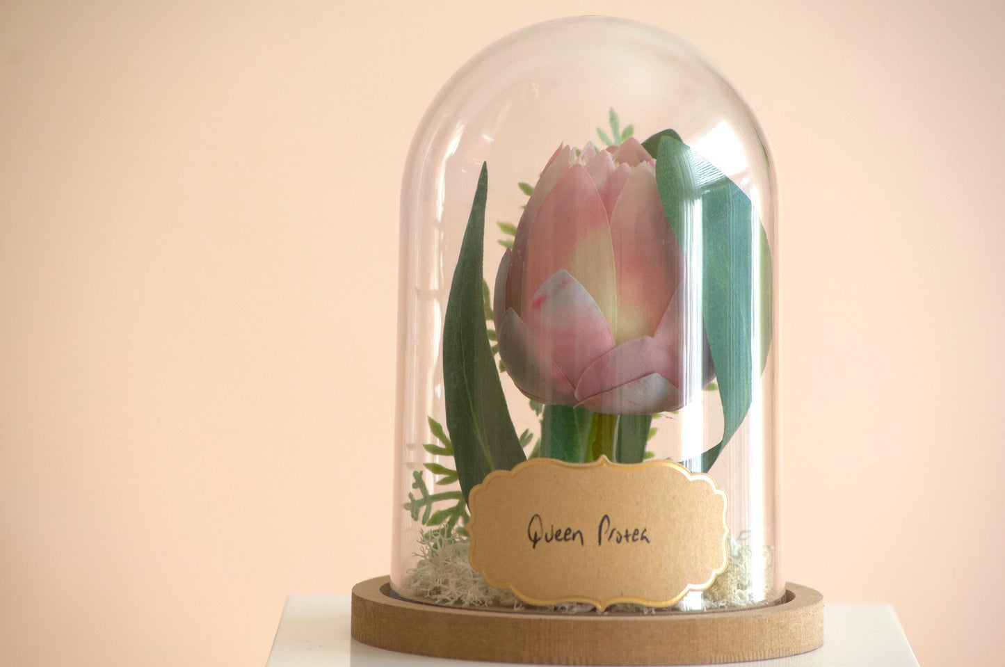 Queen Protea Flower Cloche