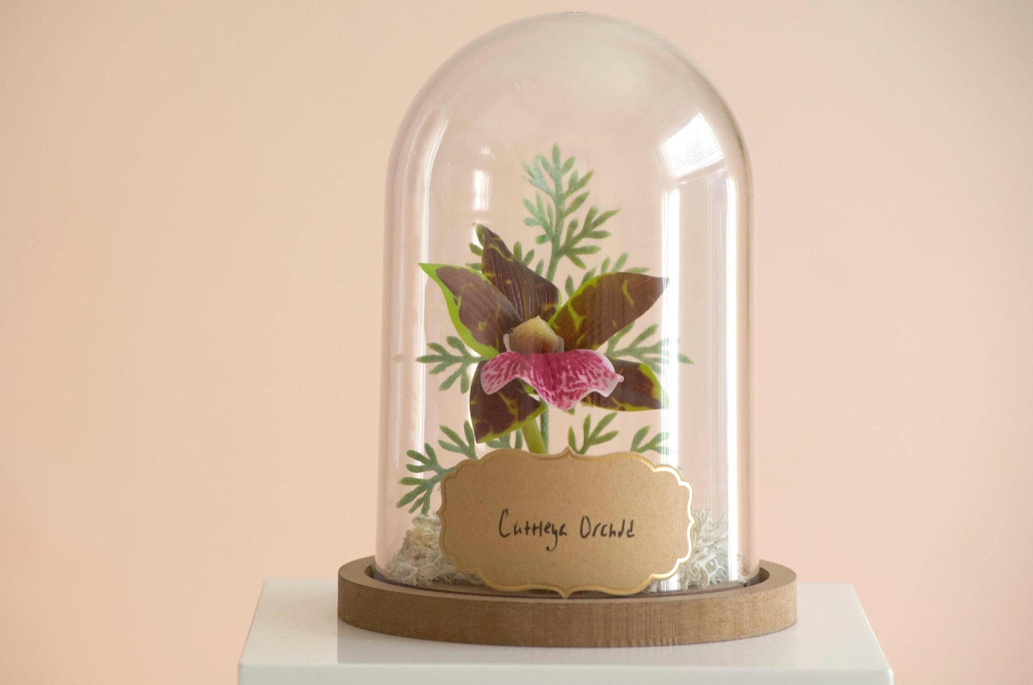 Cattleya "Lady's Slipper" Orchid silk flower arrangement inside of a flower cloche
