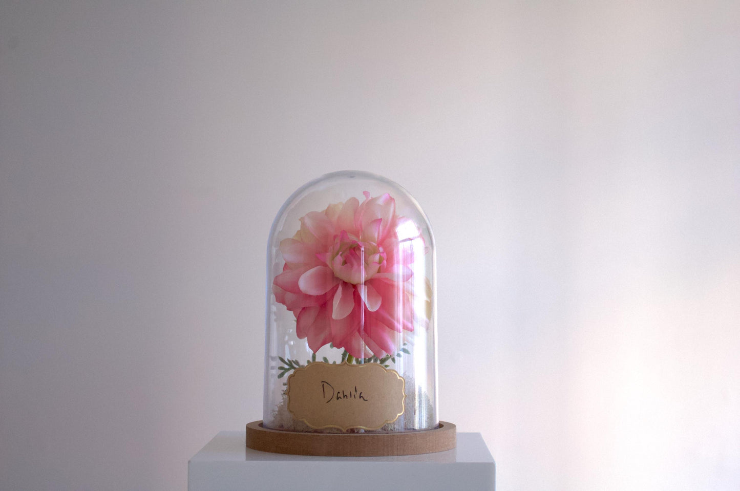 Dahlia silk flower arrangement inside of a flower cloche