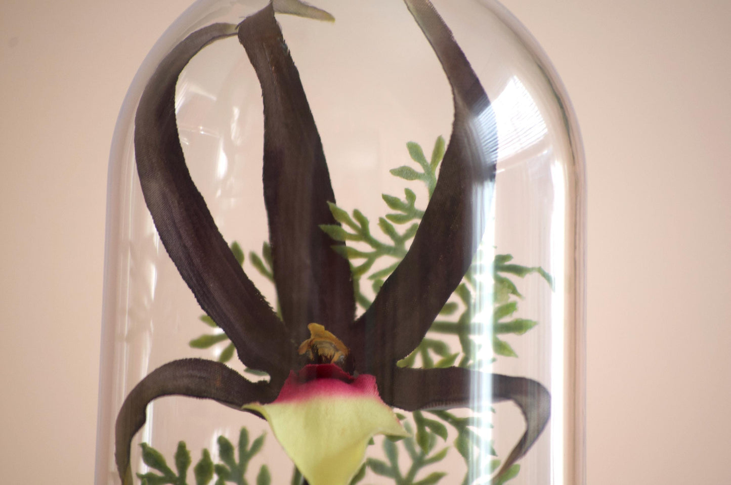 Brassia Keiliana Spider Orchid silk flower arrangement inside of a flower cloche
