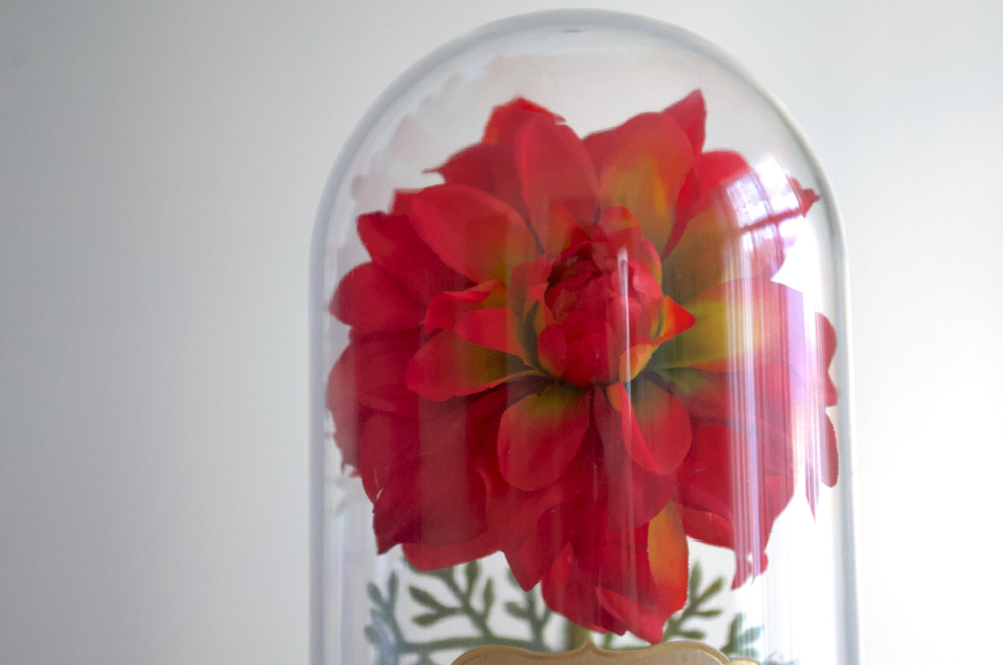 Dahlia Flower Cloche-Terrarium