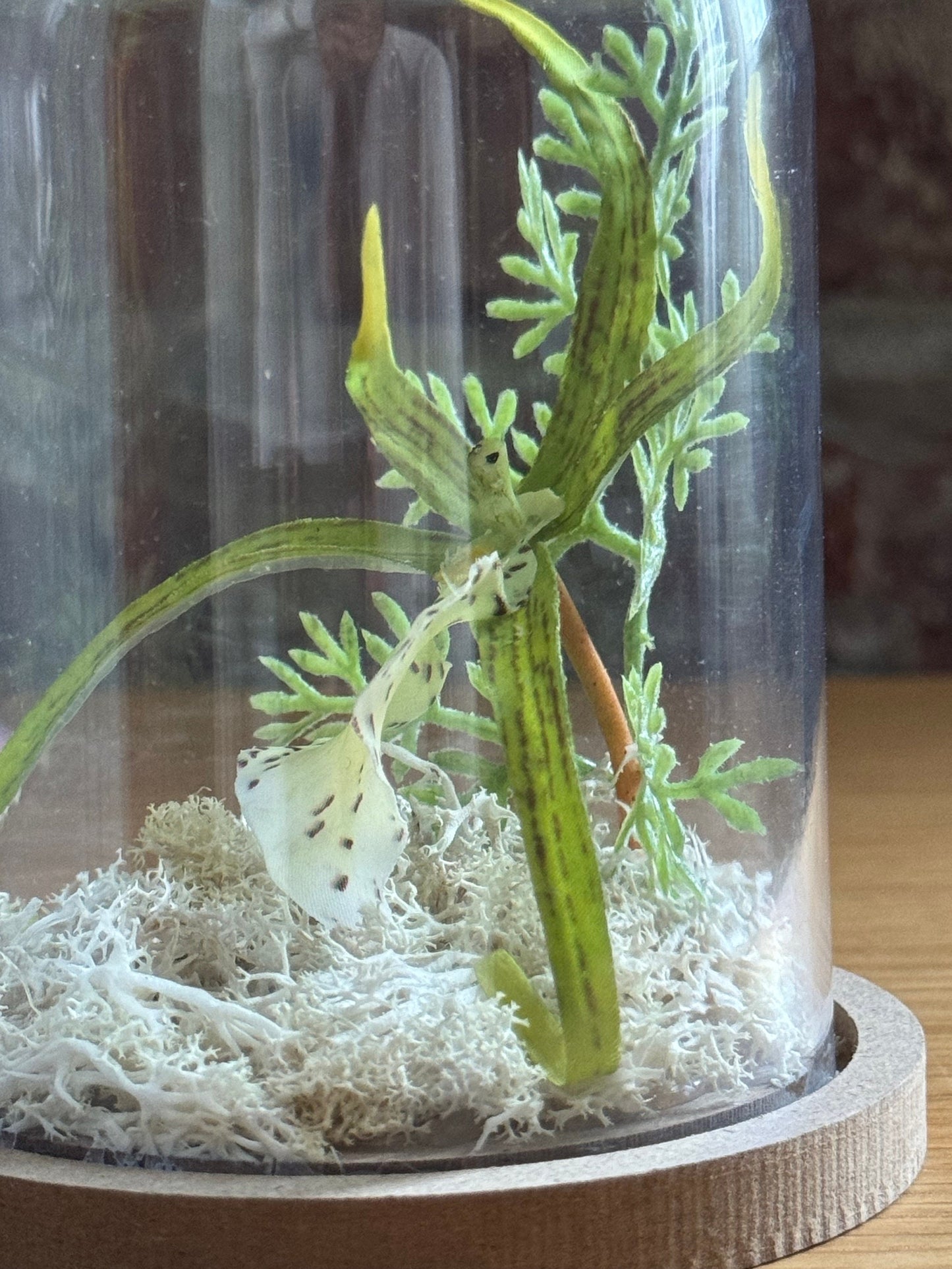 Brassia Verrucosa Spider Orchid silk flower arrangement inside of a flower cloche