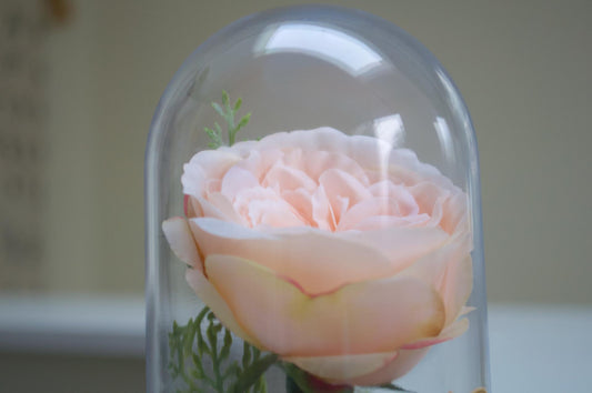 English Rose Flower Cloche