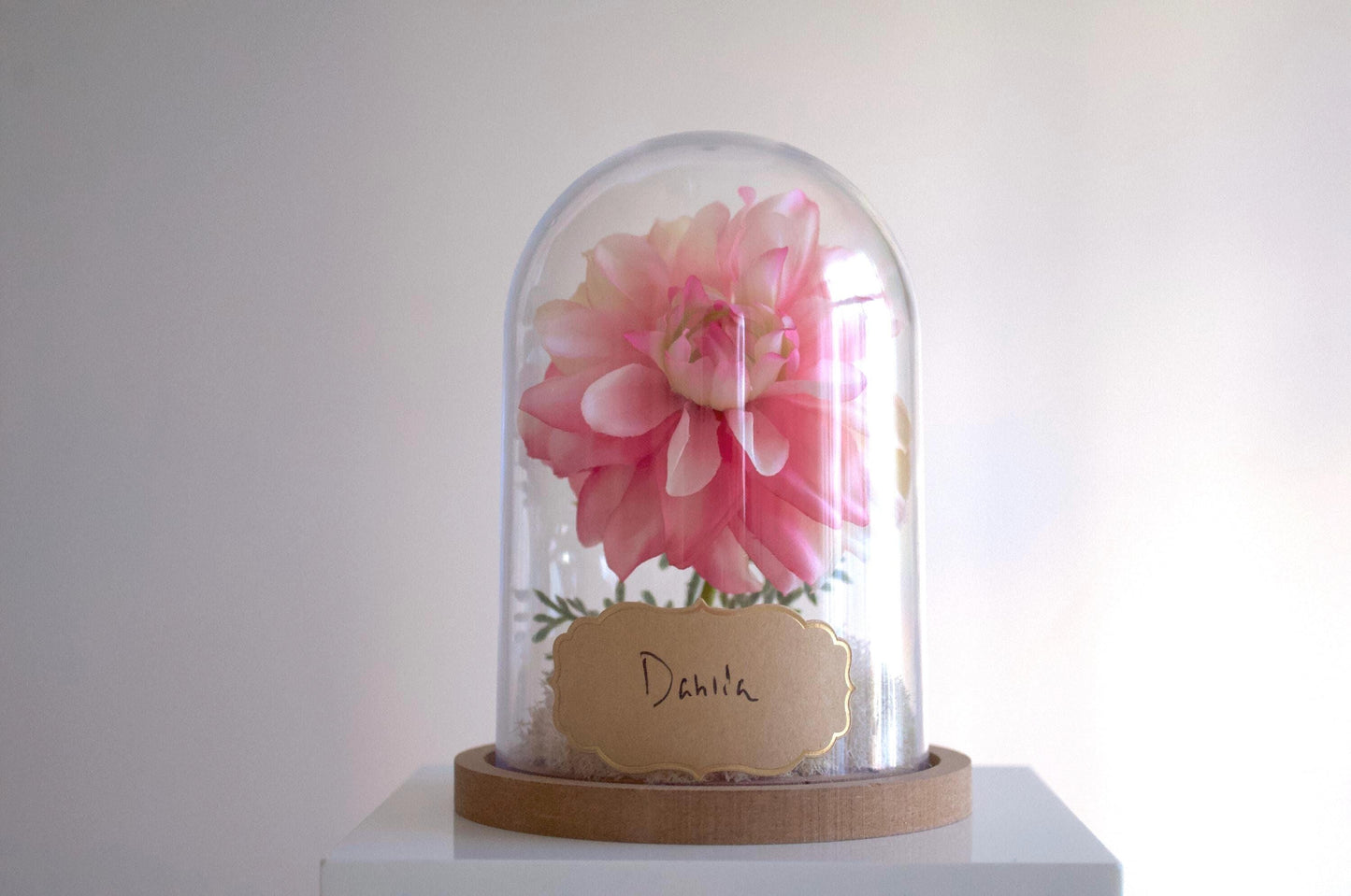 Dahlia silk flower arrangement inside of a flower cloche