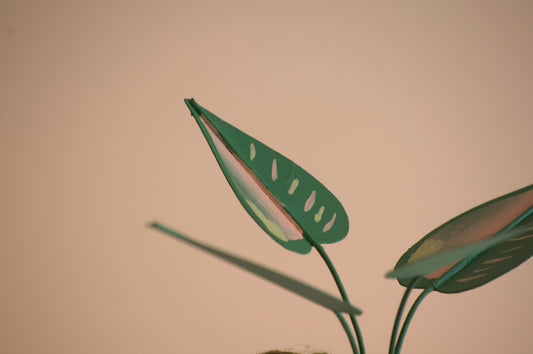 Philodendron Plant Christmas Ornament