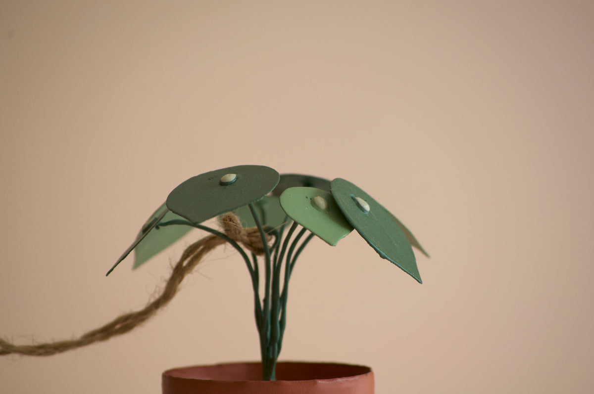 Pilea Peperomioides "Chinese Money Plant" Christmas Ornament