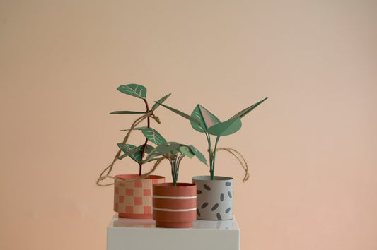 Plant Ornament Gift Set; Philodendron, Fiddle Leaf Fig, Pilea Peperomioides "Chinese Money Plant"