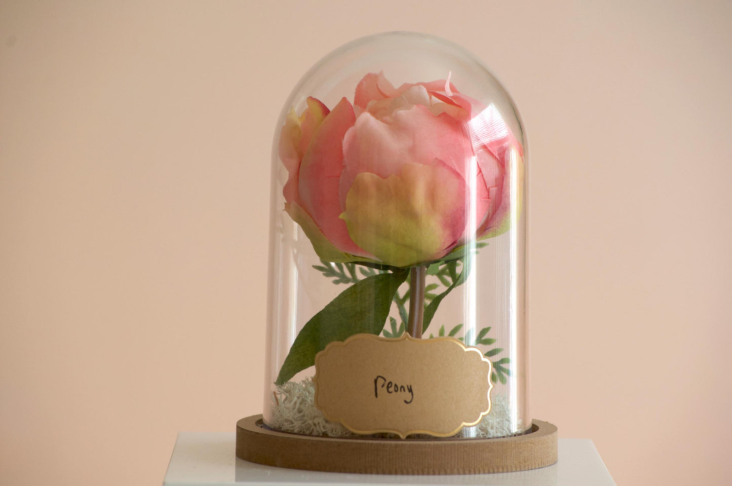 Peony Flower Cloche-Terrarium