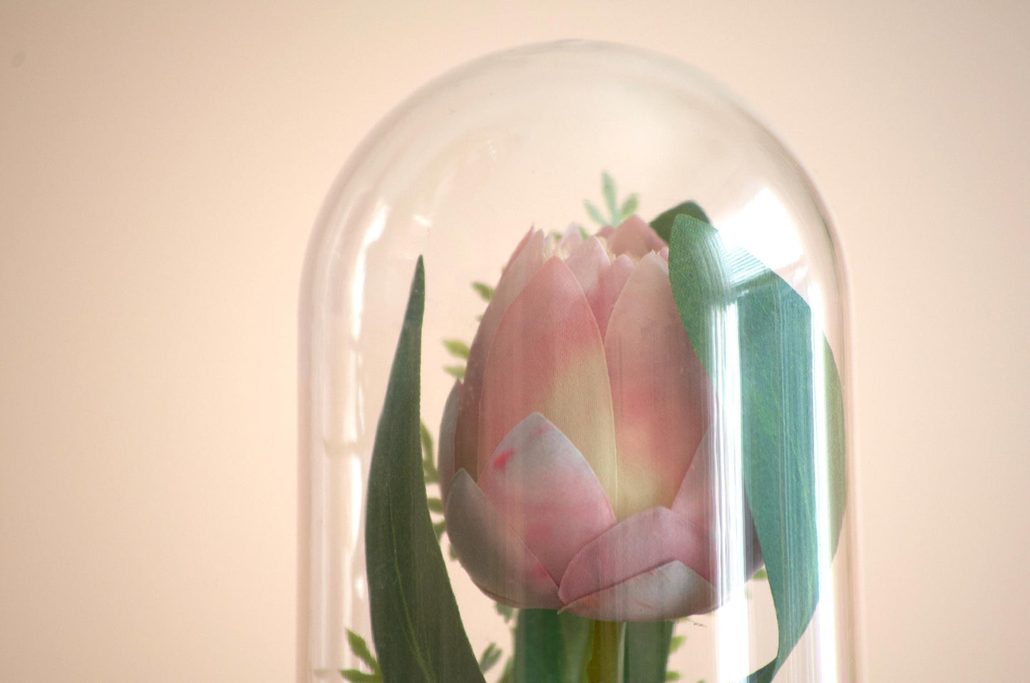 Queen Protea Flower Cloche-Terrarium