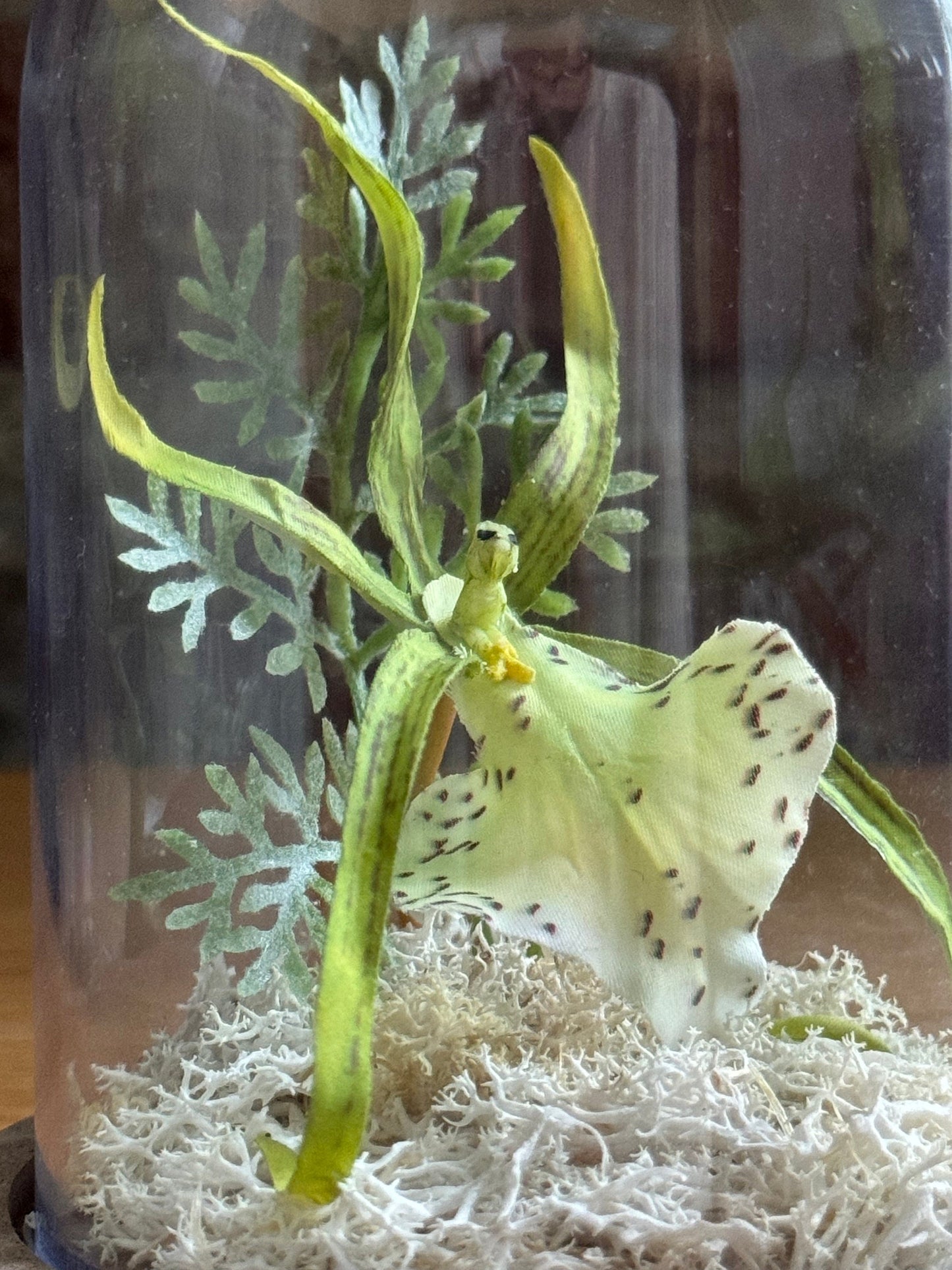 Brassia Verrucosa Spider Orchid silk flower arrangement inside of a flower cloche