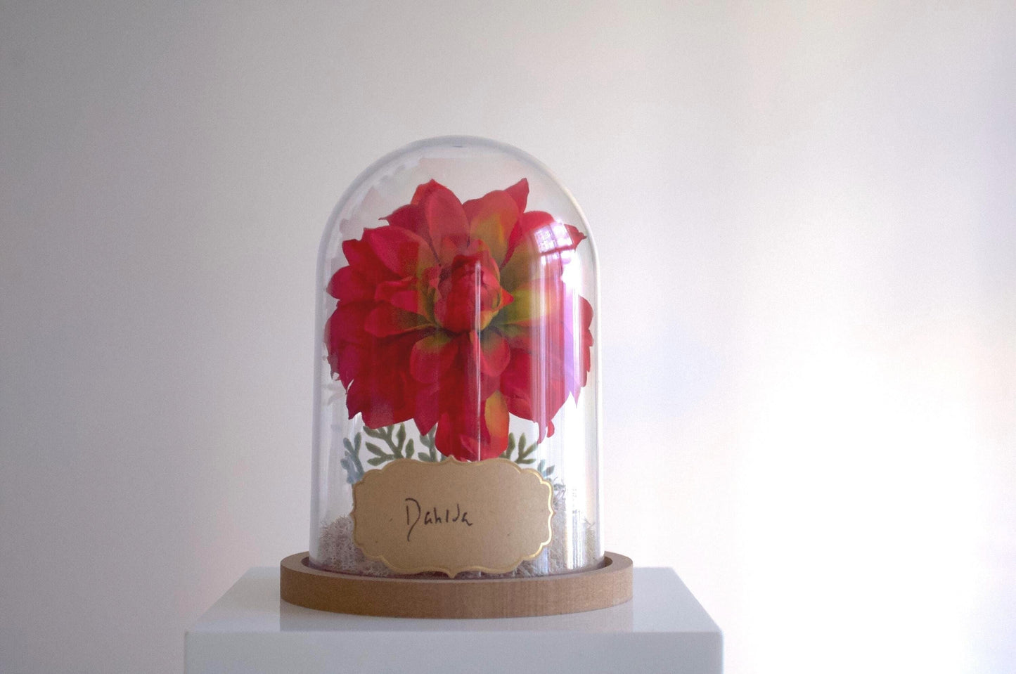 Dahlia Flower Cloche-Terrarium