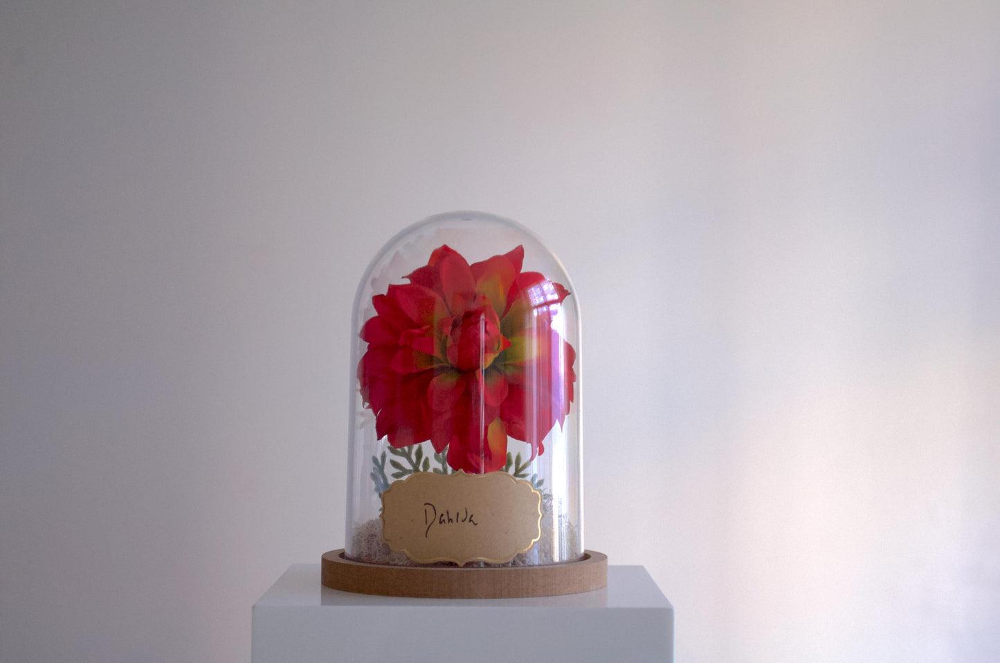 Dahlia Flower Cloche-Terrarium