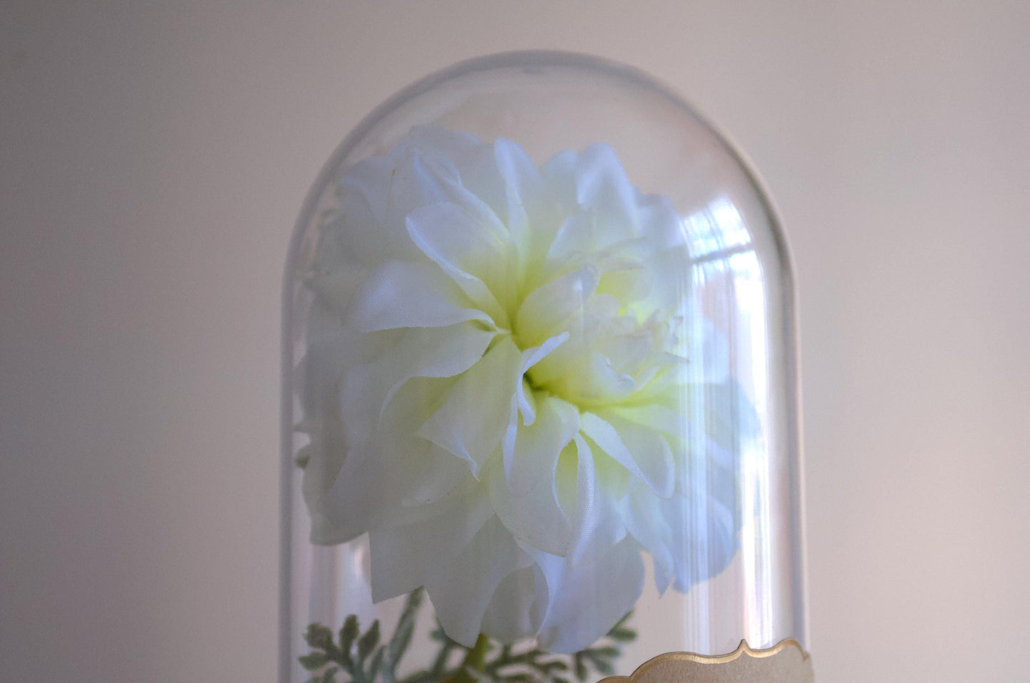 Dahlia Flower Cloche-Terrarium