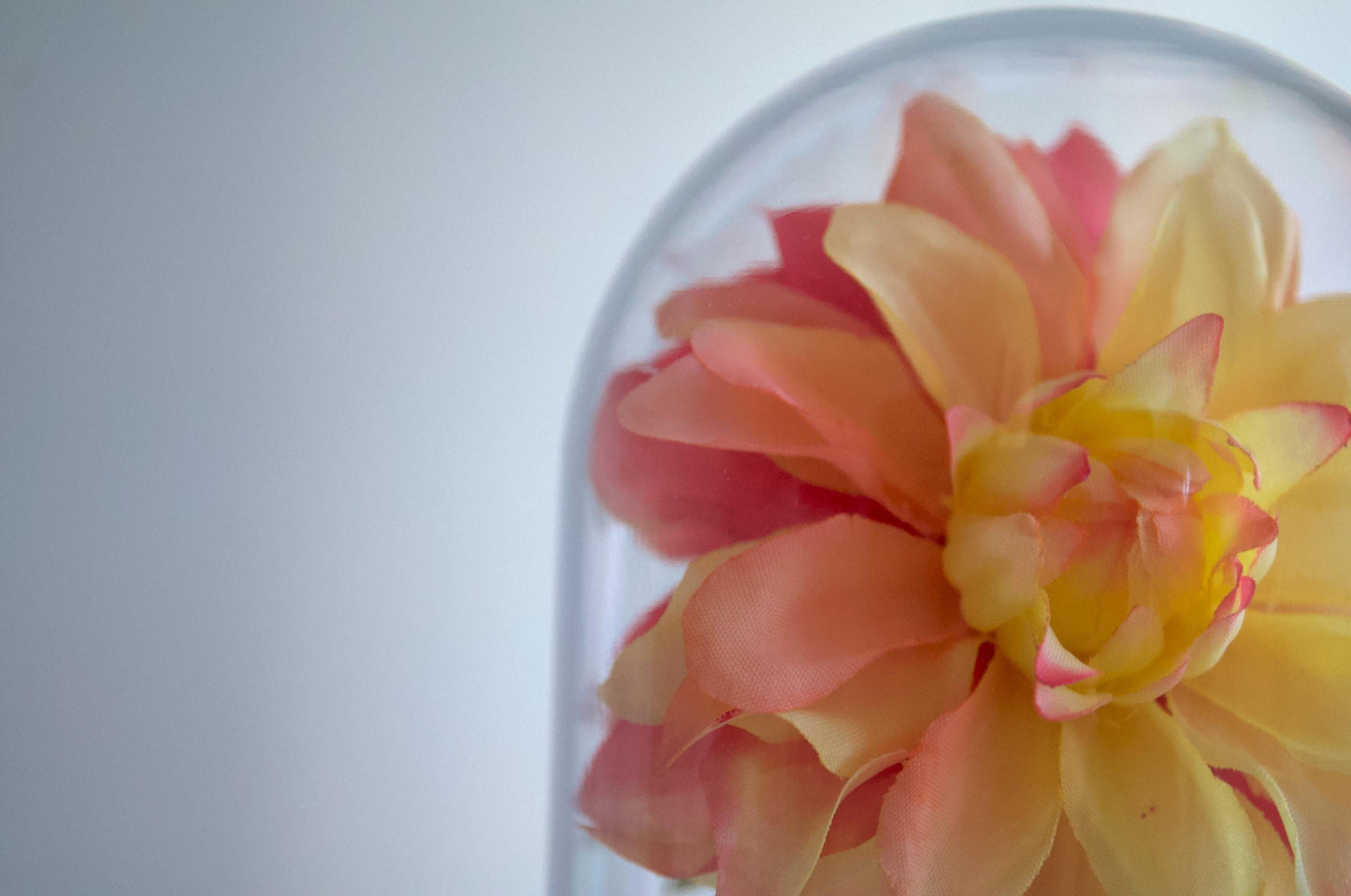 Dahlia silk flower arrangement inside of a flower cloche