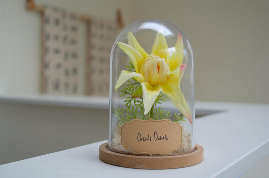 Orchid-Dahlia Flower Cloche