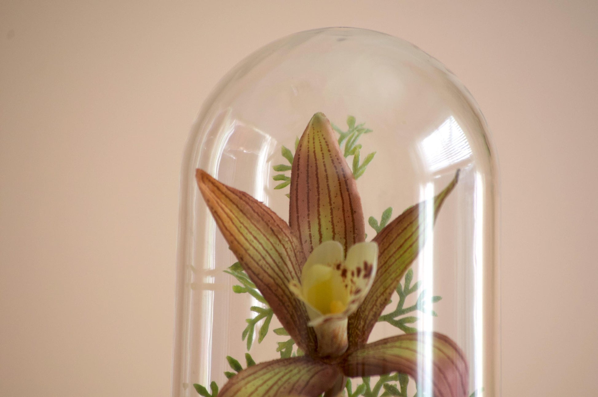 Cymbidium Orchid silk flower arrangement inside of a flower cloche