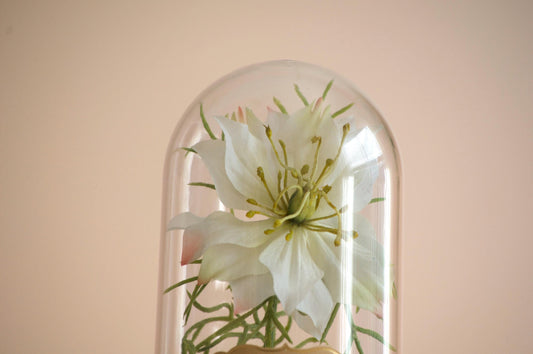 Nigella Flower Cloche-Terrarium