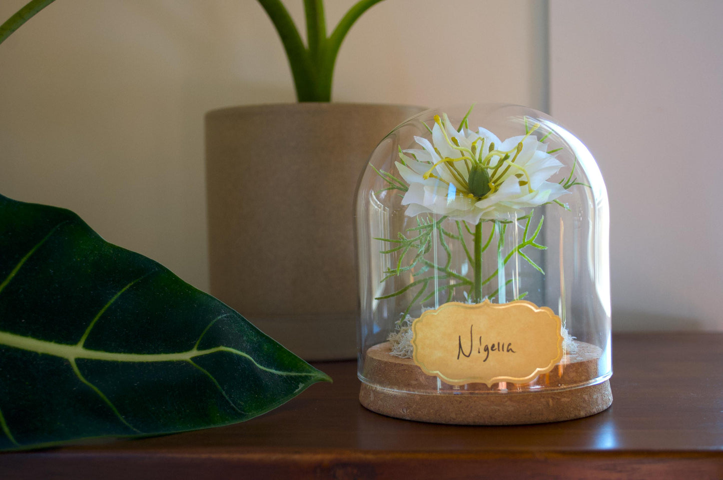 Nigella Flower Cloche (Medium Size)
