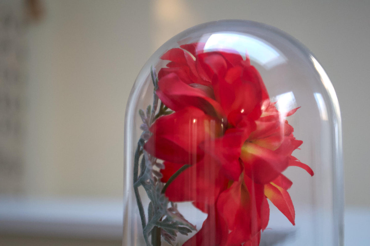 Dahlia Flower Cloche