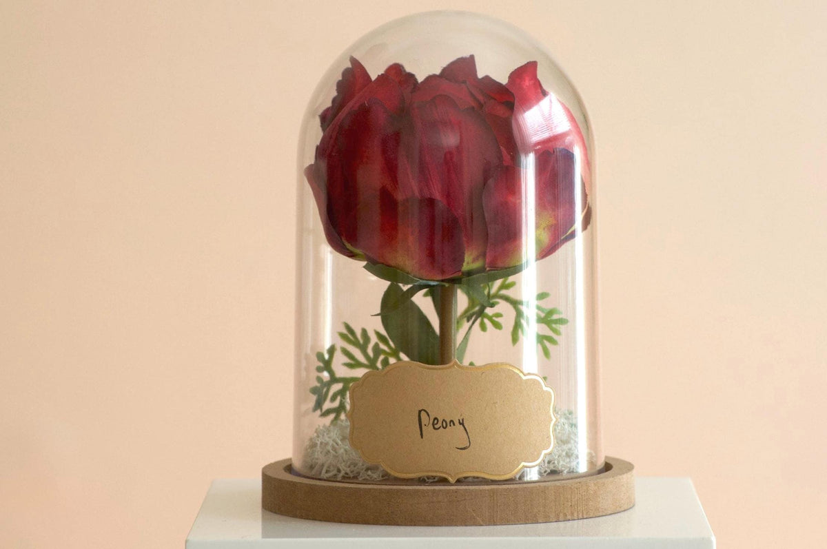 Peony Flower Cloche