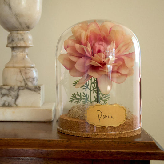 A pink paper flower preserved in a glass cloche with a cork base and a small label reading 'Dahlia', displayed on a wooden table next to a marble pedestal.