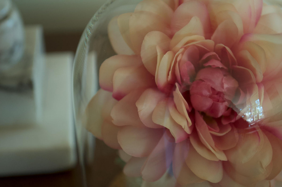 Dahlia Flower Cloche (Large Size)
