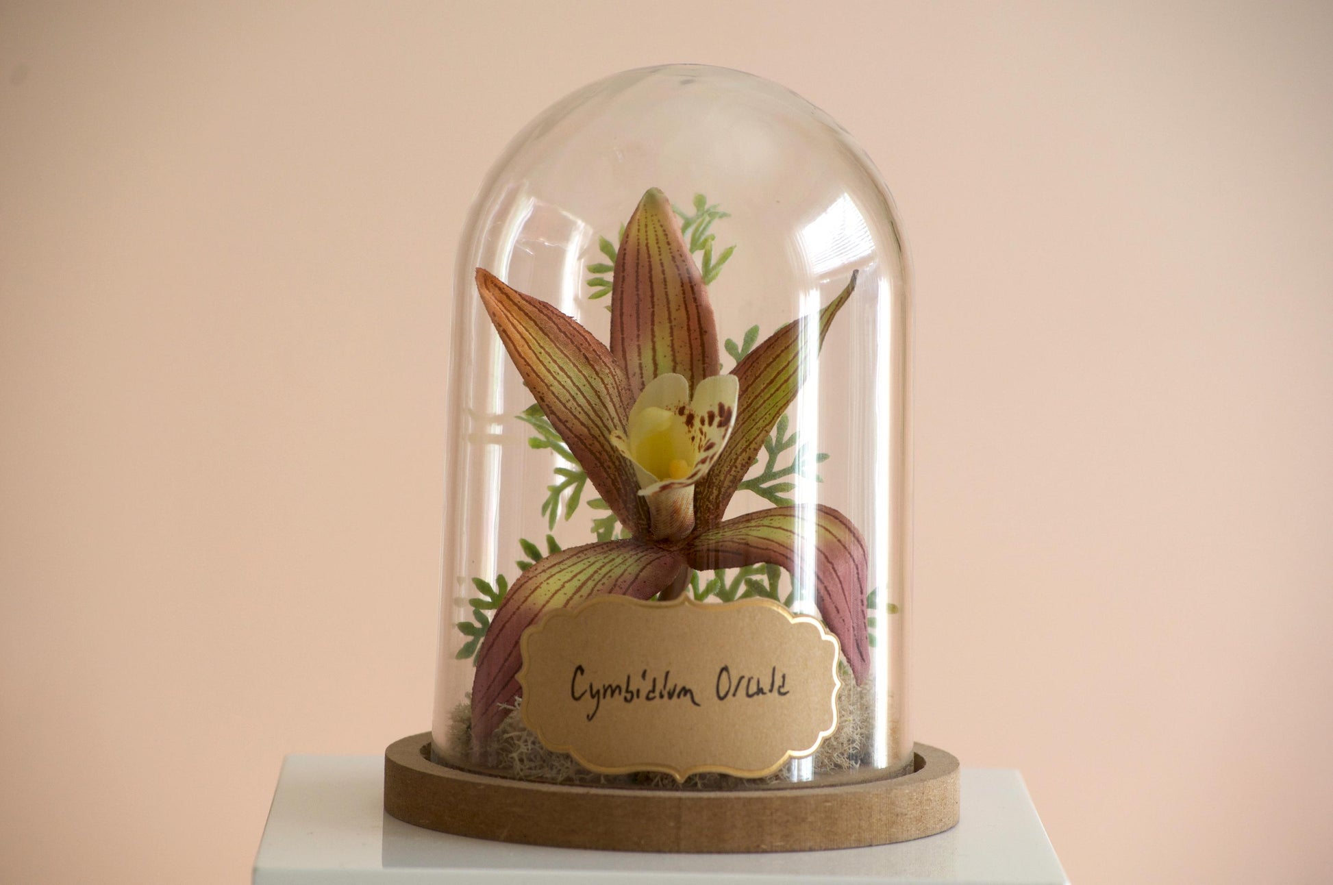 Cymbidium Orchid silk flower arrangement inside of a flower cloche