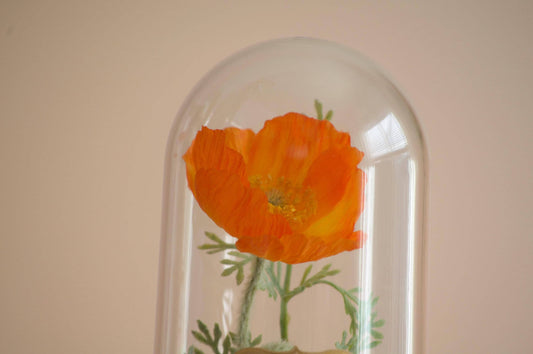 California Poppy Cloche