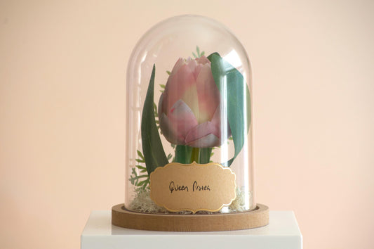 Queen Protea Flower Cloche