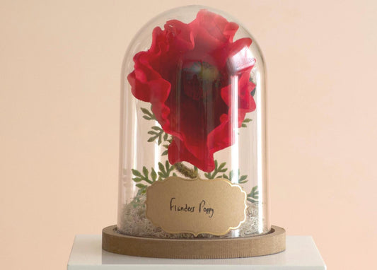 Flanders Poppy Flower Cloche-Terrarium