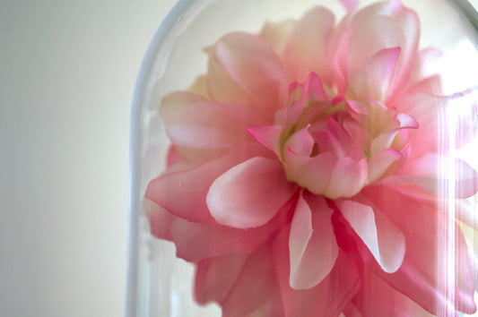 Dahlia Flower Cloche-Terrarium