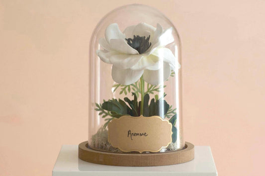 Anemone Flower Cloche
