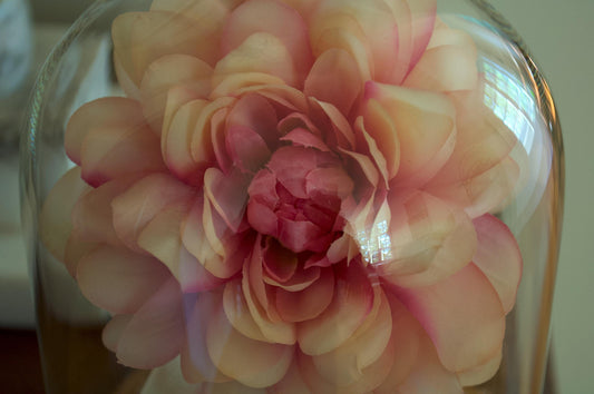 Dahlia Flower Cloche (Large Size)