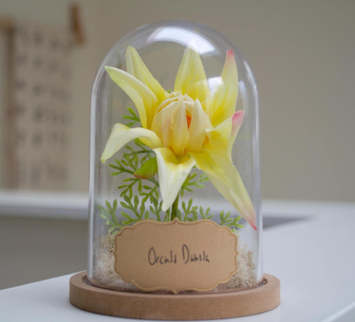 Orchid-Dahlia Flower Cloche